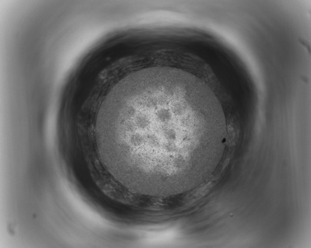 X0000102280765200808011450