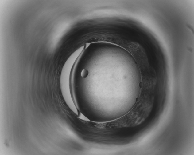 X0000102280766200808011450