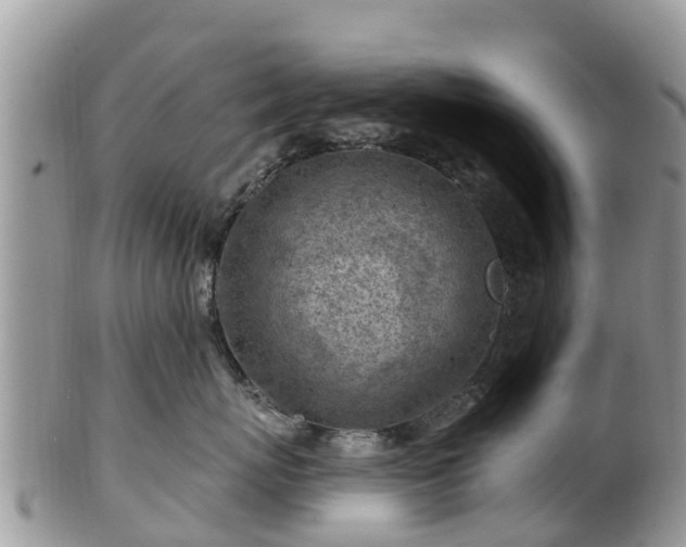 X0000102280767200808011450