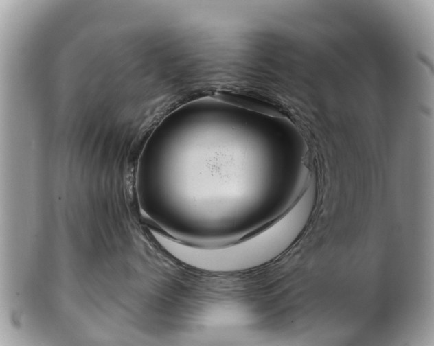 X0000102280768200808011450