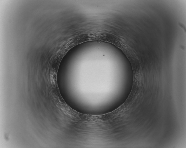 X0000102280770200808011449