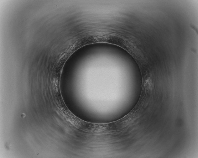 X0000102280772200808011449