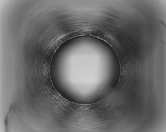 X0000102280773200808011449