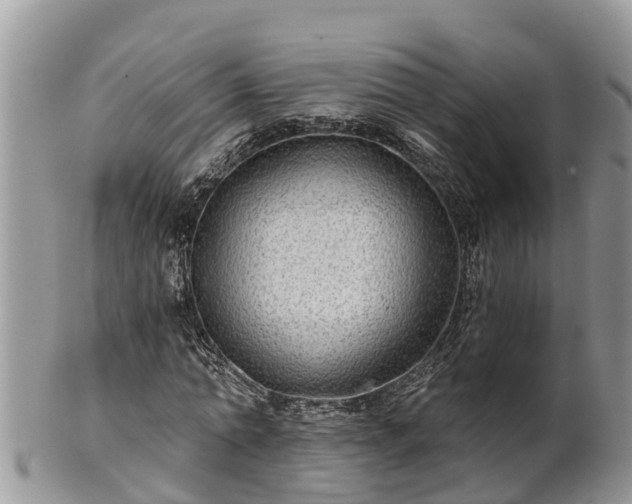 X0000102280774200808011449