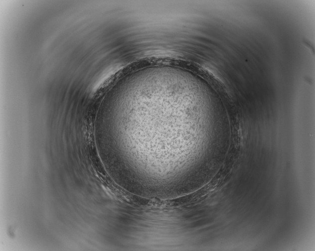 X0000102280775200808011449