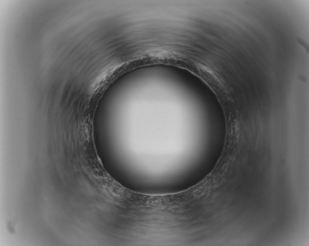 X0000102280776200808011449