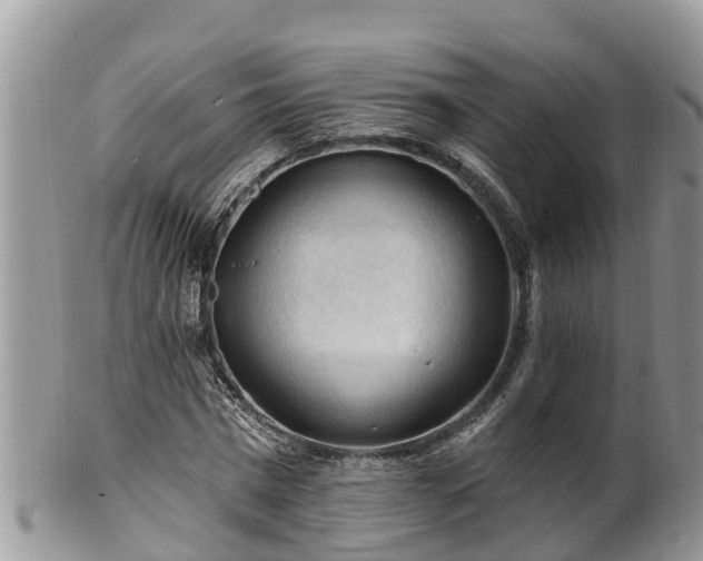 X0000102280777200808011449