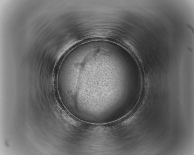 X0000102280779200808011449