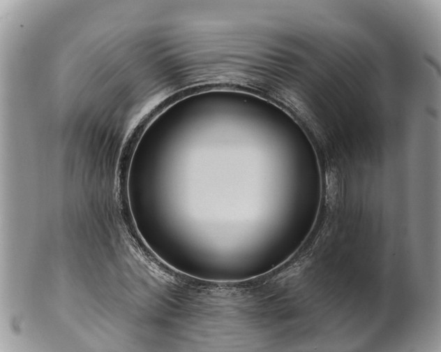 X0000102280780200808011449