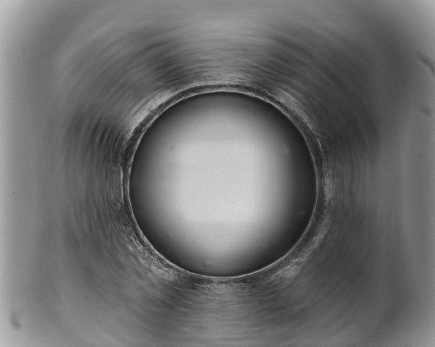 X0000102280781200808011449