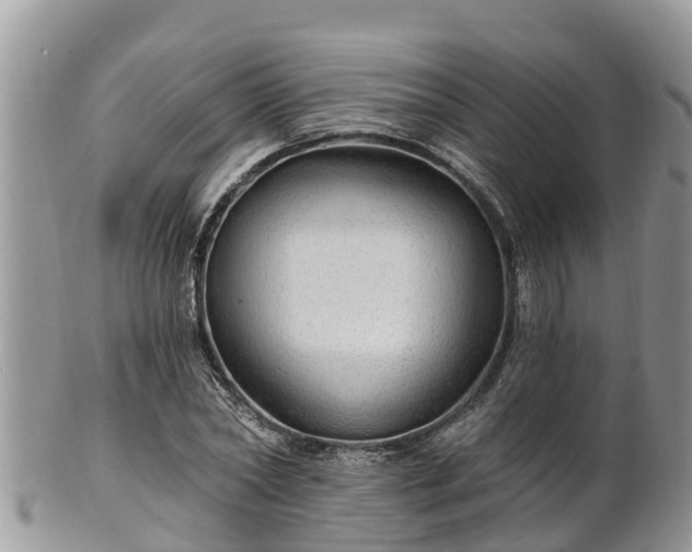 X0000102280782200808011449