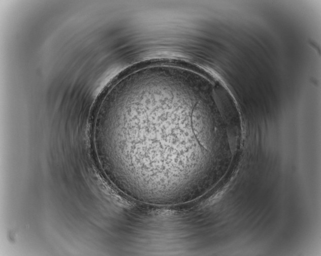 X0000102280783200808011449