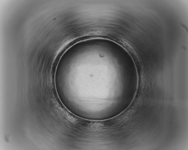 X0000102280784200808011449