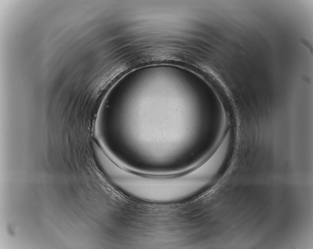 X0000102280785200808011449