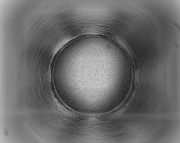 X0000102280787200808011449