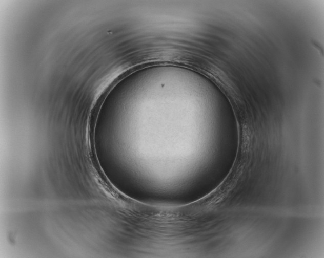 X0000102280788200808011449