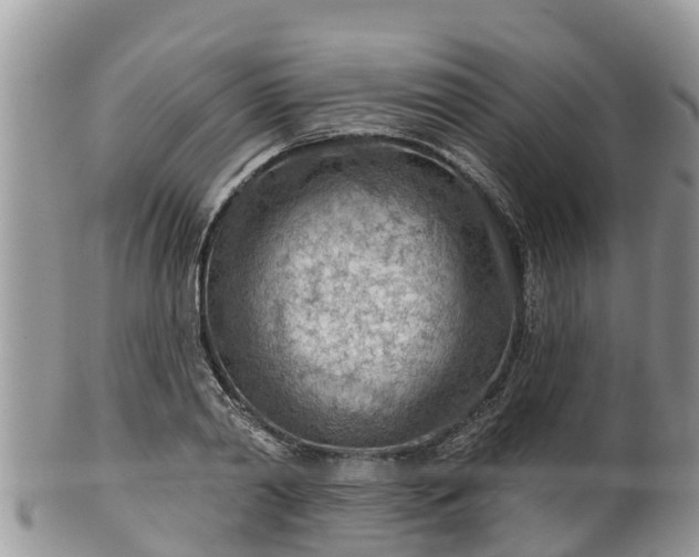 X0000102280790200808011449