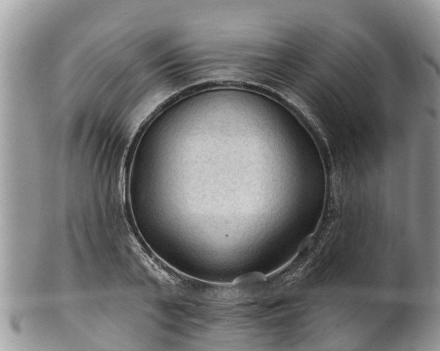 X0000102280791200808011449