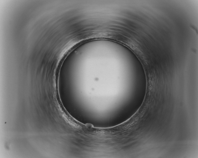 X0000102280792200808011449