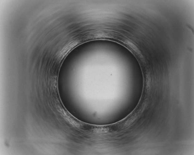 X0000102280793200808011449