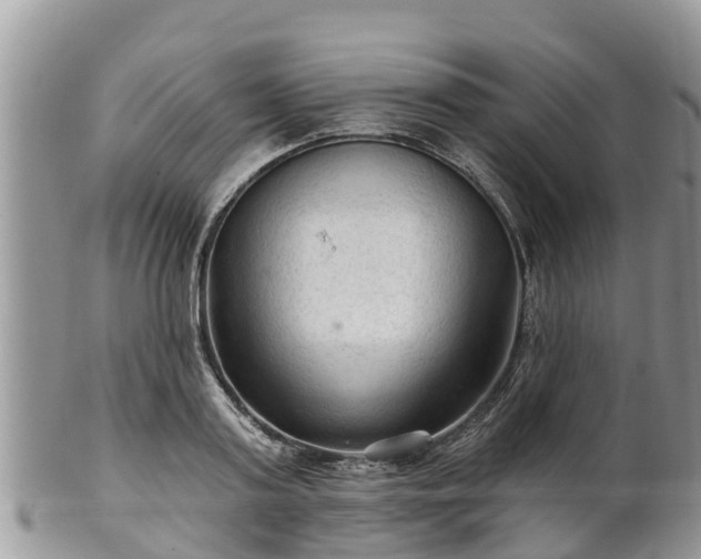 X0000102280795200808011449