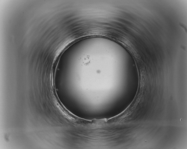 X0000102280796200808011449