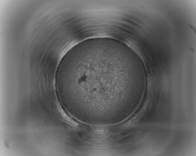 X0000102280797200808011449