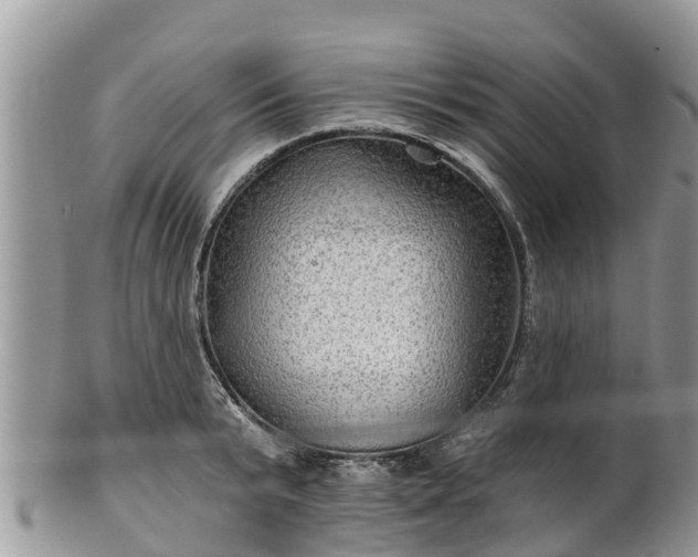 X0000102280799200808011449