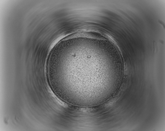 X0000102280803200808011449