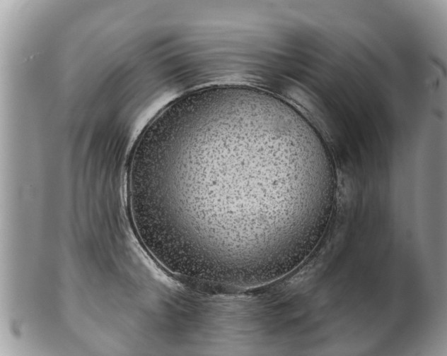 X0000102280804200808011449