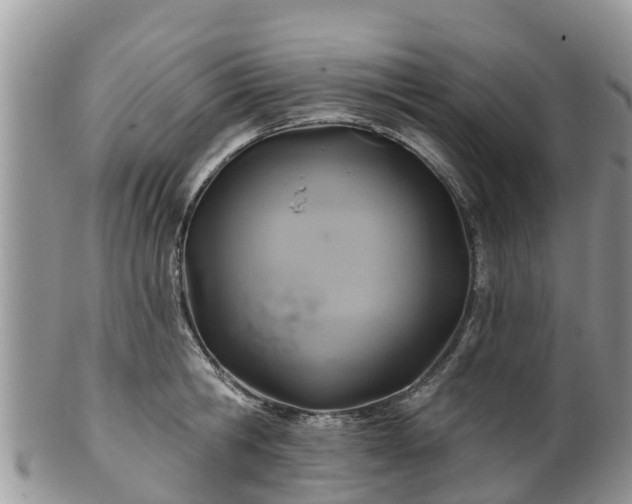 X0000102280806200808011449