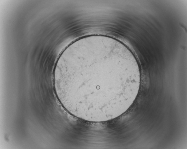 X0000102280807200808011449