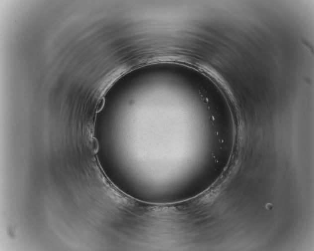 X0000102280809200808011448