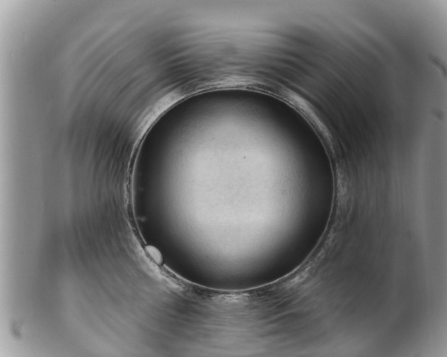 X0000102280810200808011448