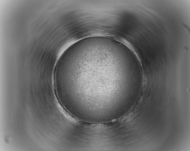 X0000102280811200808011448