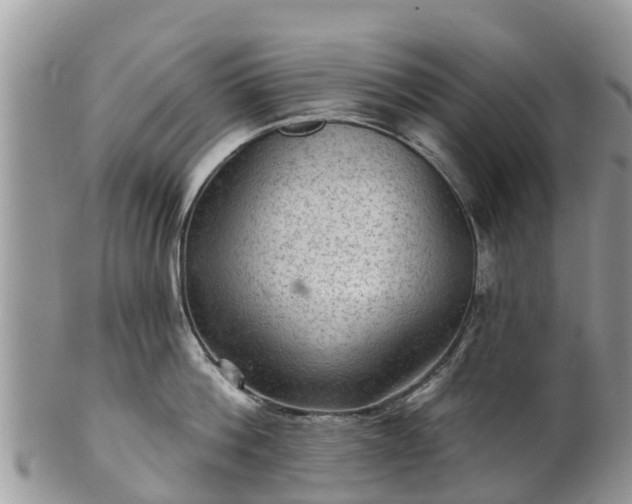 X0000102280812200808011448