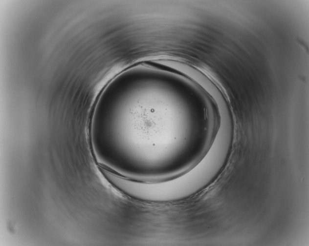 X0000102280813200808011448