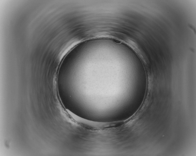 X0000102280814200808011448