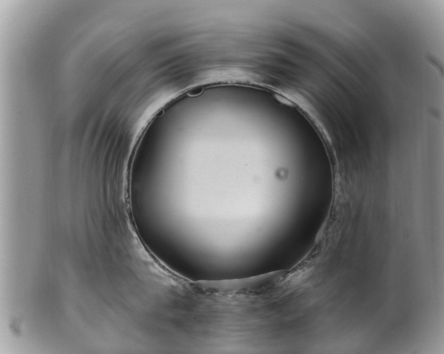 X0000102280815200808011448