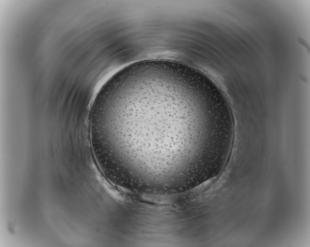 X0000102280816200808011448