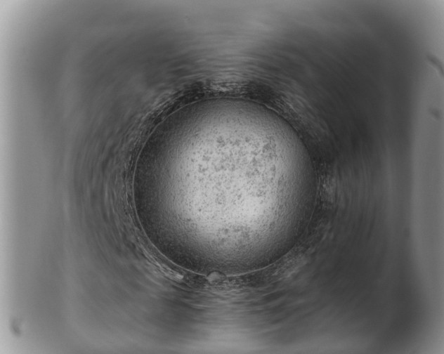 X0000102280817200808011448