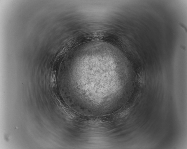 X0000102280818200808011448