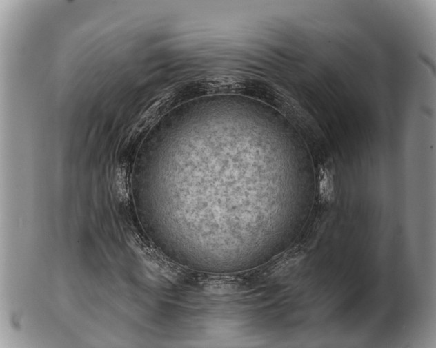 X0000102280819200808011448