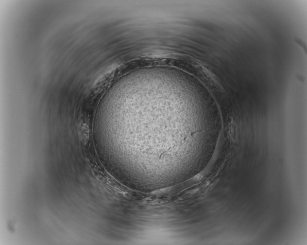 X0000102280821200808011448