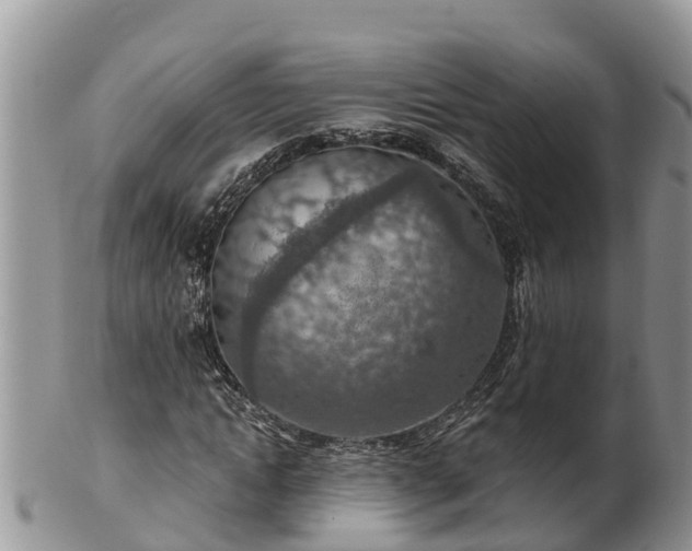 X0000102280822200808011448