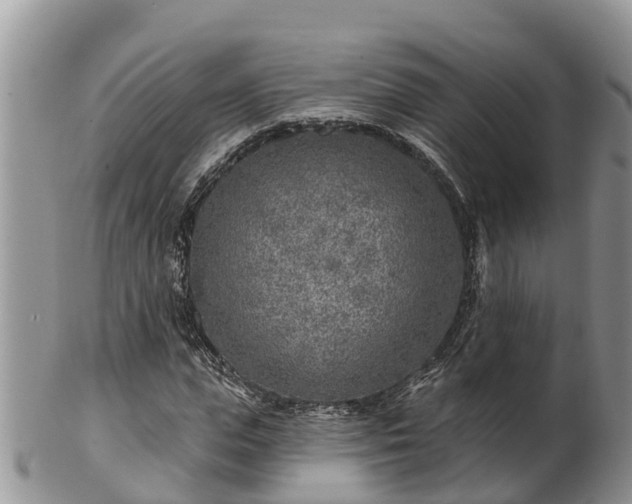 X0000102280823200808011448