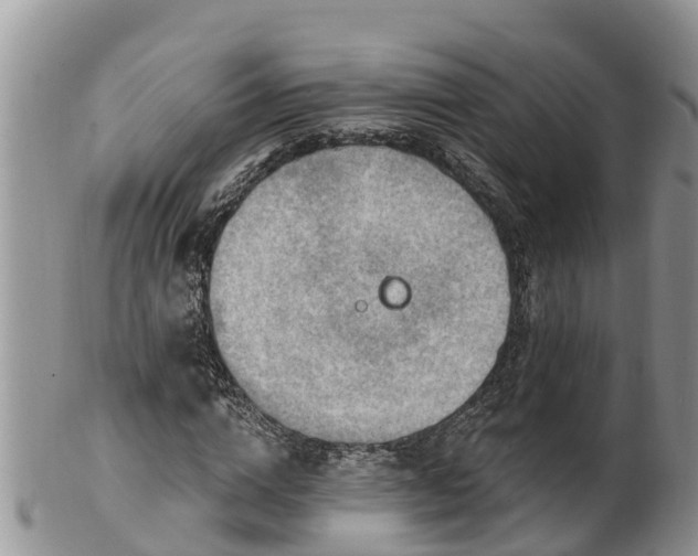 X0000102280824200808011448