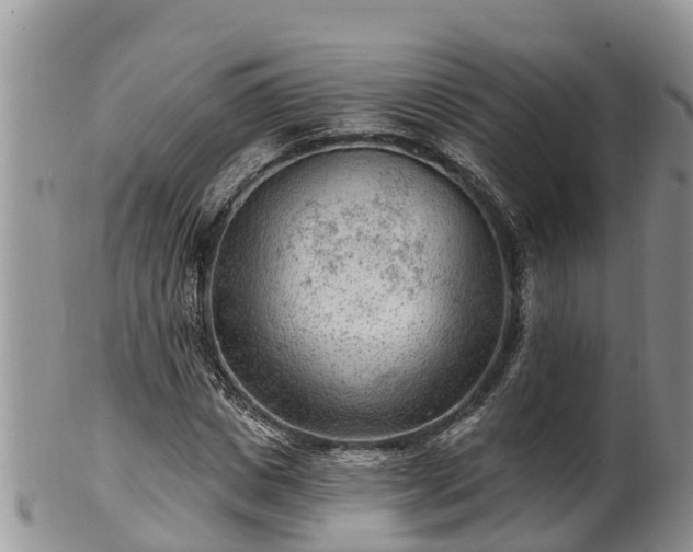 X0000102280825200808011448