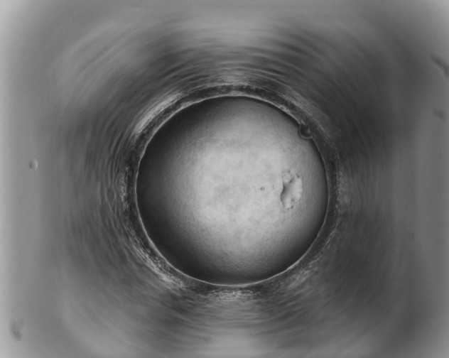 X0000102280826200808011448