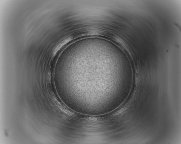 X0000102280827200808011448